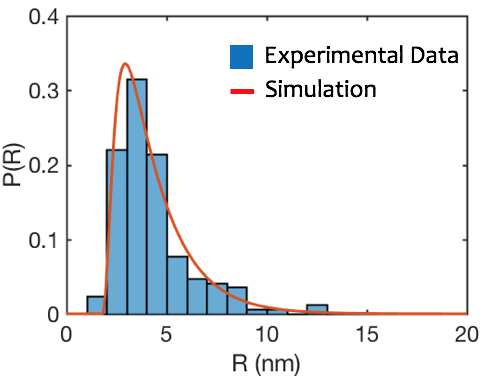 Experimental and simulated results of island growth on a NiCr<sub>0.05</sub alloy