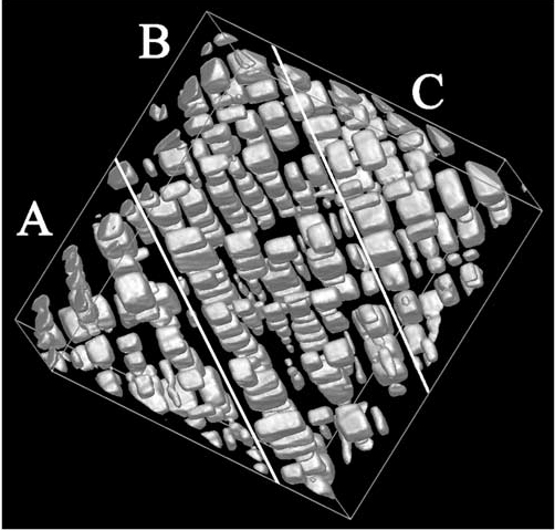 Reconstruction of cuboidal precipitates in a NiAl alloy