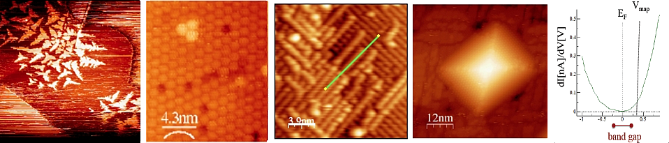 Experimental STM images